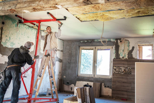 Best Insulation Maintenance and Repair in Berea, SC
