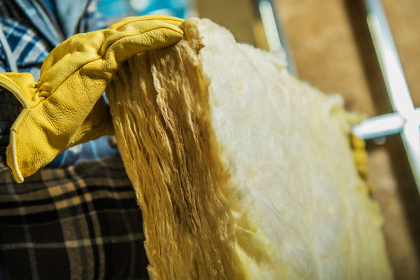 Trusted Berea, SC Insulation Contractor Experts