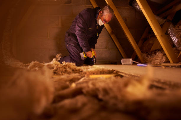 Best Eco-Friendly Insulation in Berea, SC